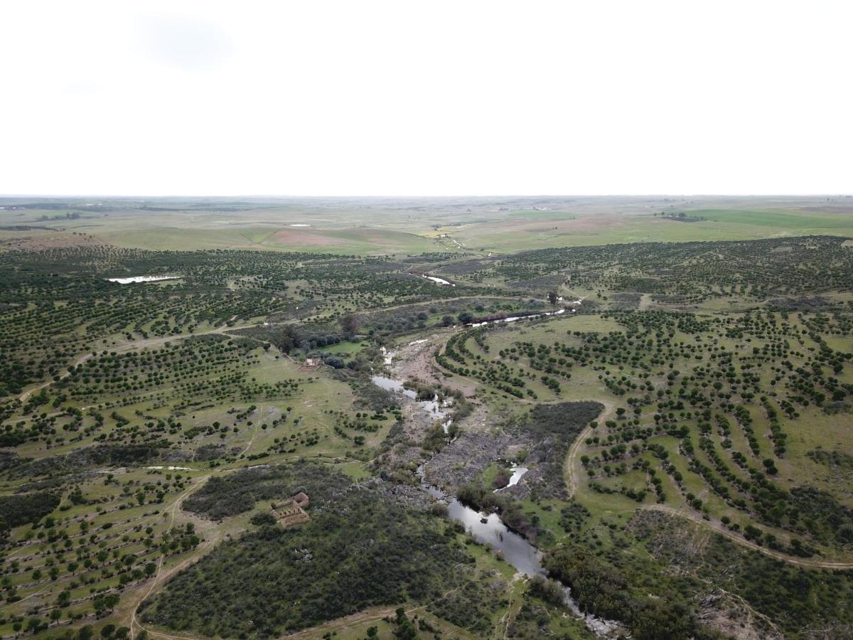 Mértola Herdade De Alagaes מראה חיצוני תמונה